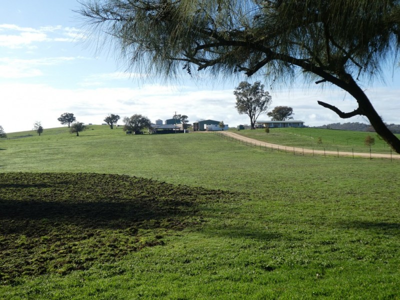 1375 Mates Gully Road Borambola via, Wagga Wagga NSW 2650
