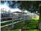 1375 Mates Gully Road Borambola via, Wagga Wagga NSW 2650