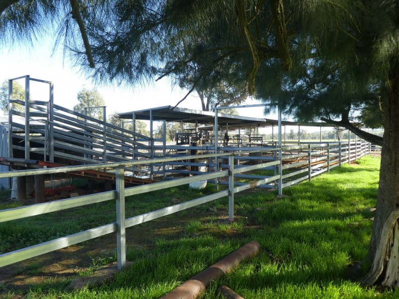 1375 Mates Gully Road Borambola via, Wagga Wagga NSW 2650