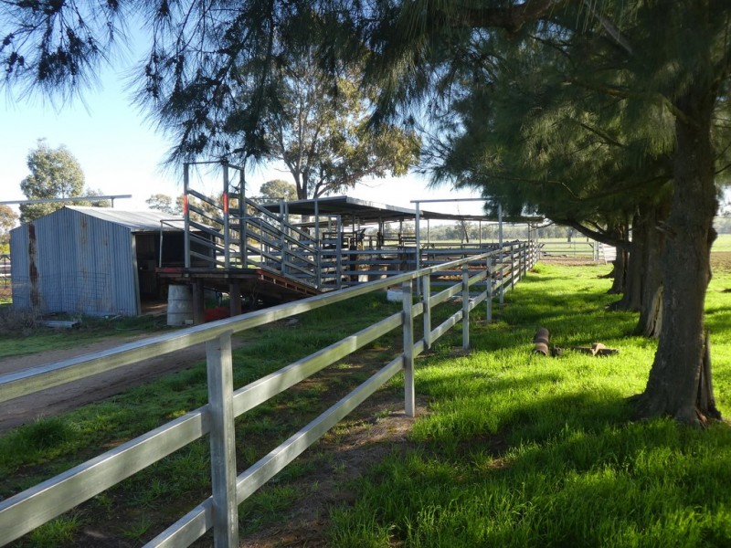 1375 Mates Gully Road Borambola via, Wagga Wagga NSW 2650
