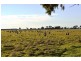 7216 Riverina Highway, Corowa NSW 2646