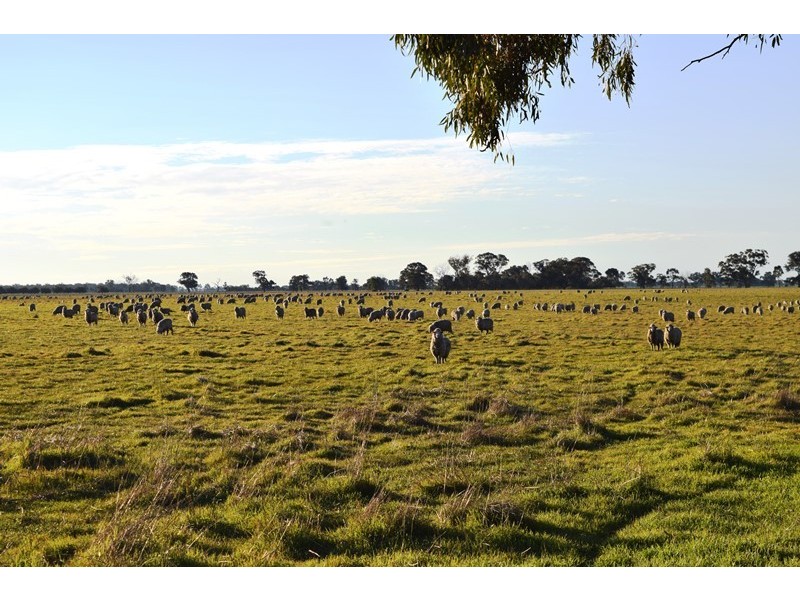 7216 Riverina Highway, Corowa NSW 2646