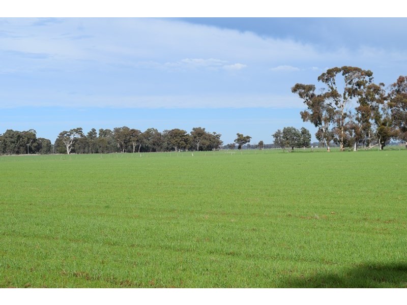 7216 Riverina Highway, Corowa NSW 2646