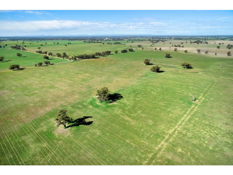 7216 Riverina Highway, Corowa NSW 2646