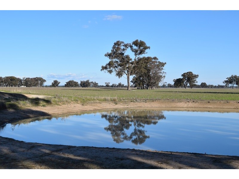7216 Riverina Highway, Corowa NSW 2646
