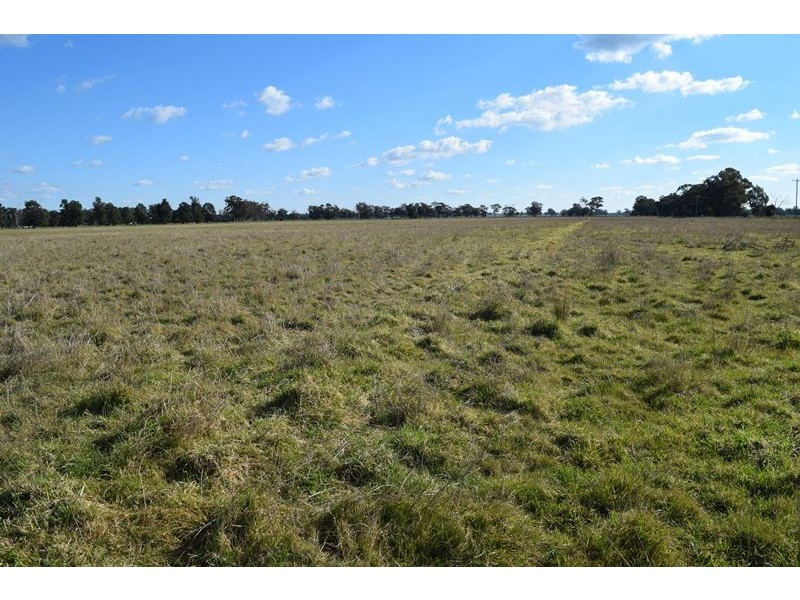 7216 Riverina Highway, Corowa NSW 2646
