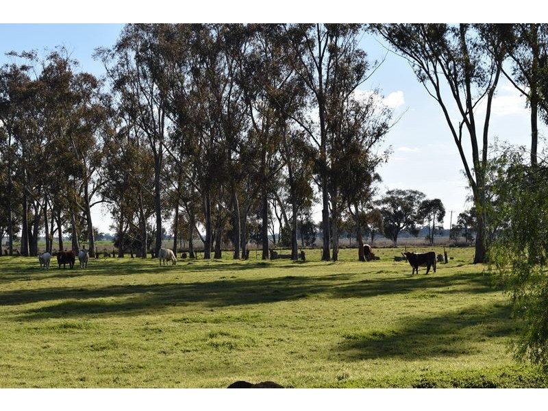 7216 Riverina Highway, Corowa NSW 2646