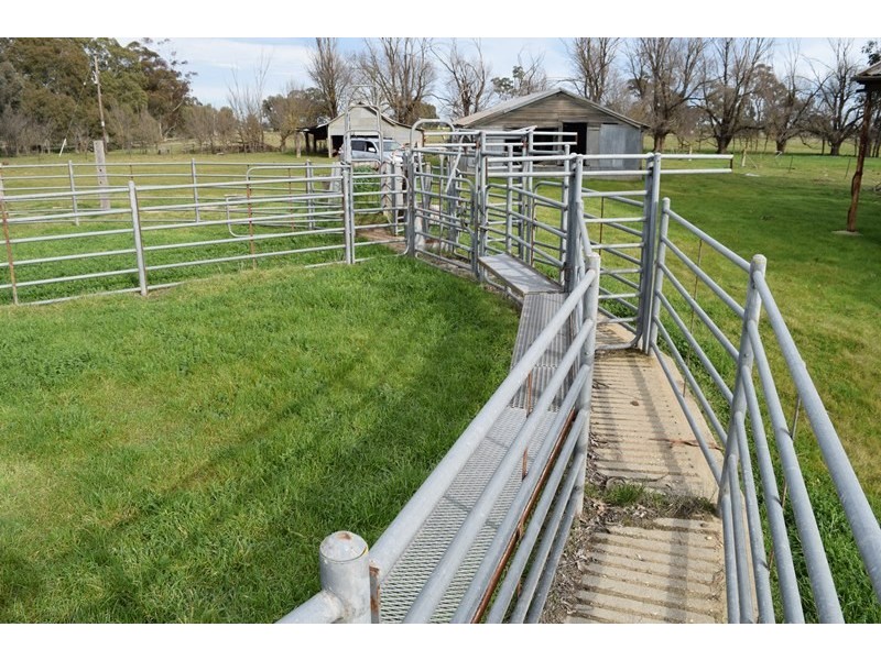 7216 Riverina Highway, Corowa NSW 2646