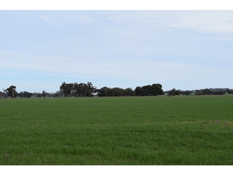 7216 Riverina Highway, Corowa NSW 2646