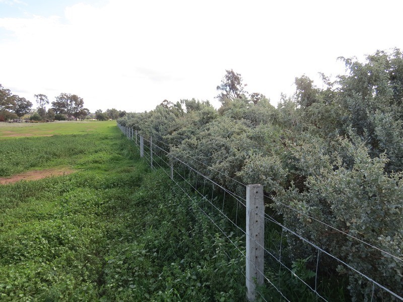 1112 Back Barooga Road, Mulwala NSW 2647