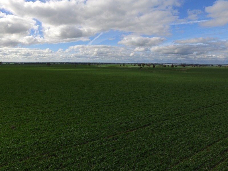 1112 Back Barooga Road, Mulwala NSW 2647