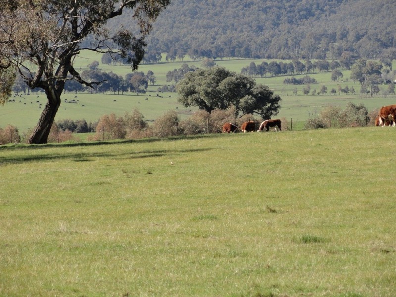 Lots 1and2 Blacks Flat Road, Mudgegonga VIC 3737