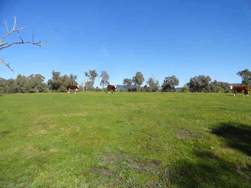 Lots 1and2 Blacks Flat Road, Mudgegonga VIC 3737