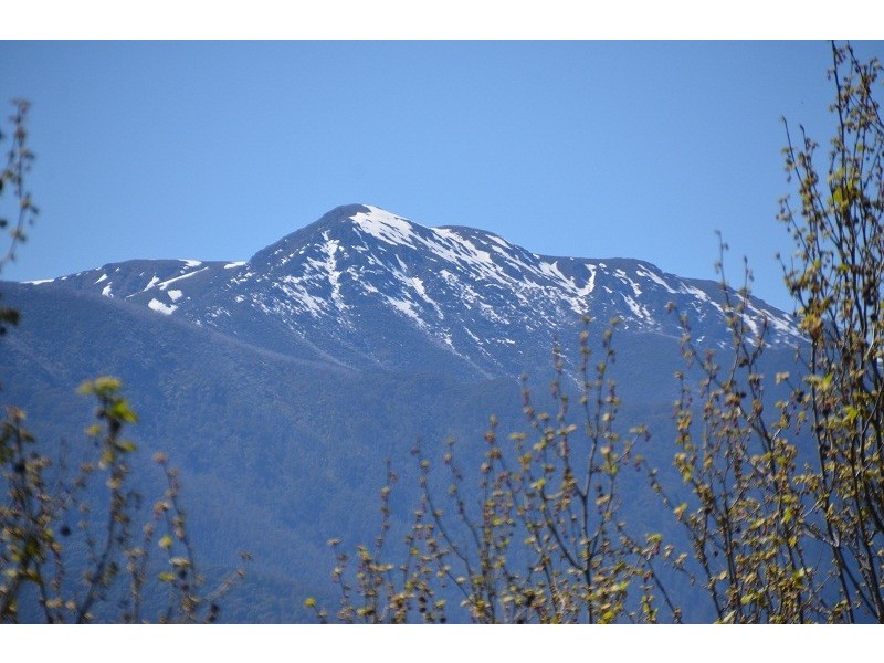 45 Ranch Road, Tawonga South VIC 3698