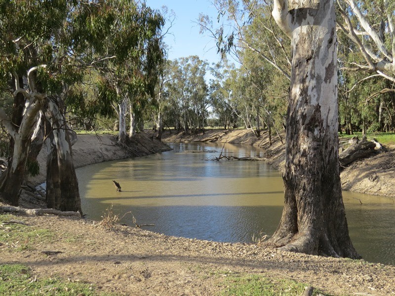 348 Yaloke Road, Deniliquin NSW 2710