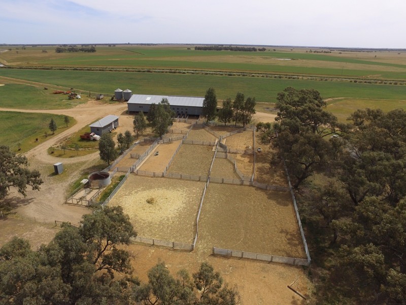 348 Yaloke Road, Deniliquin NSW 2710