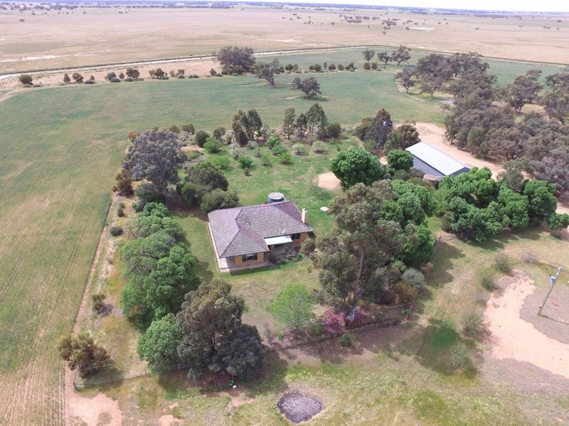 348 Yaloke Road, Deniliquin NSW 2710