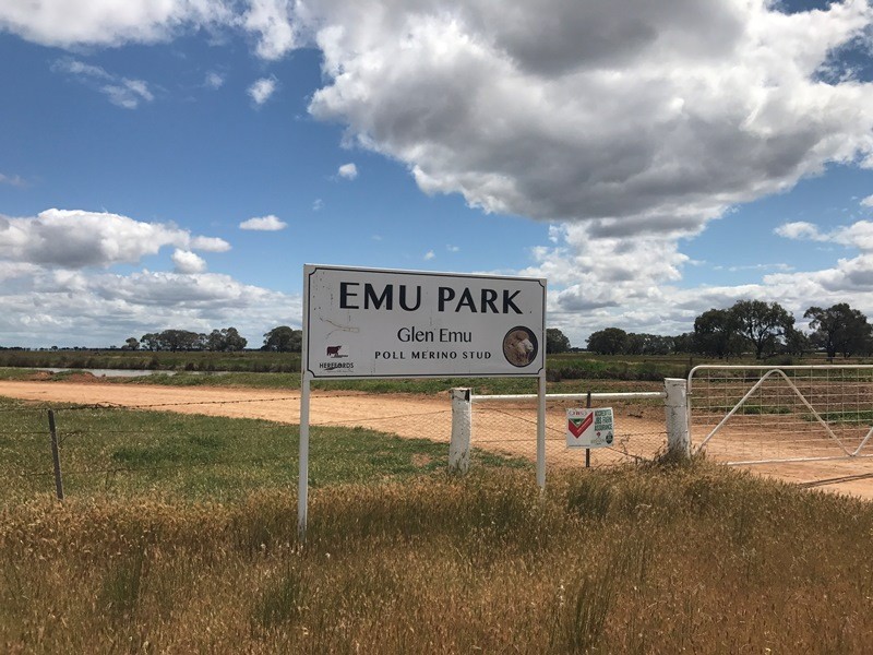 348 Yaloke Road, Deniliquin NSW 2710