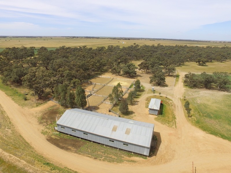 348 Yaloke Road, Deniliquin NSW 2710
