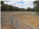 348 Yaloke Road, Deniliquin NSW 2710