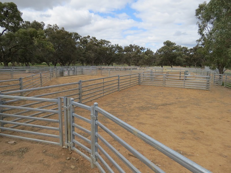 348 Yaloke Road, Deniliquin NSW 2710
