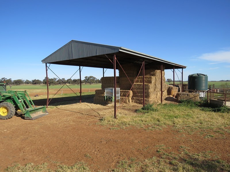 348 Yaloke Road, Deniliquin NSW 2710