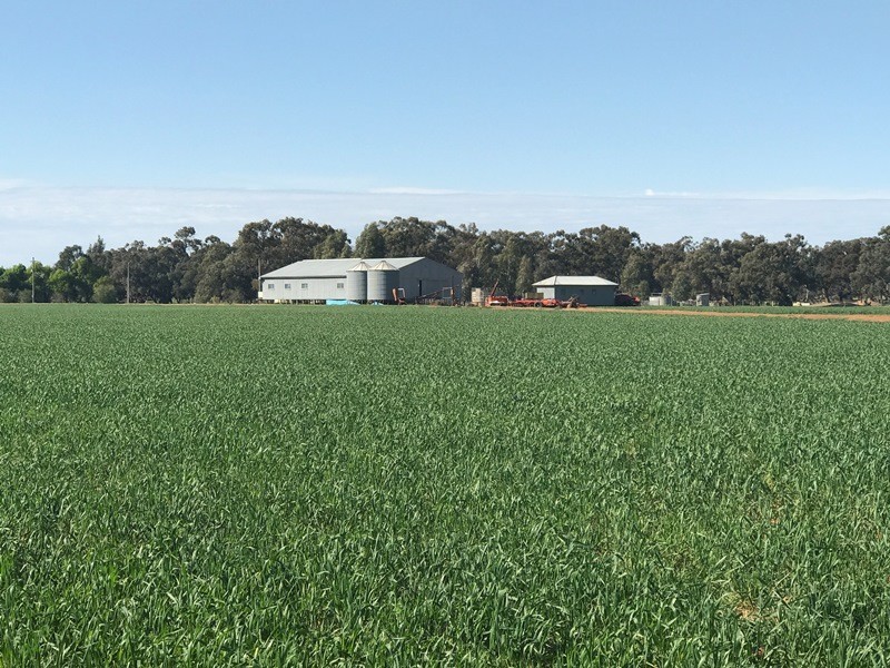 348 Yaloke Road, Deniliquin NSW 2710