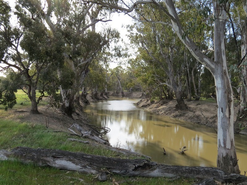 348 Yaloke Road, Deniliquin NSW 2710