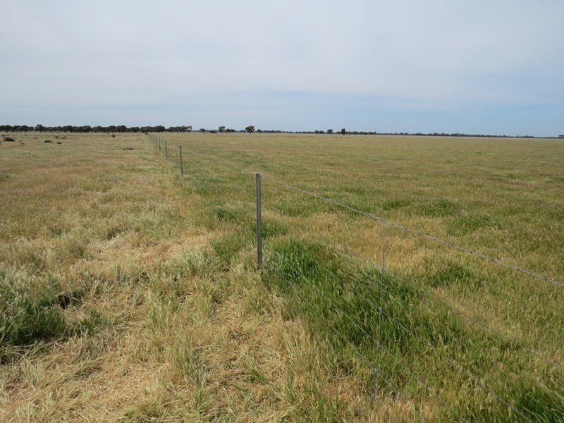 348 Yaloke Road, Deniliquin NSW 2710