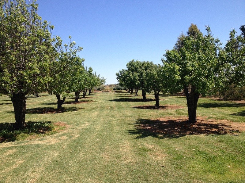 348 Yaloke Road, Deniliquin NSW 2710