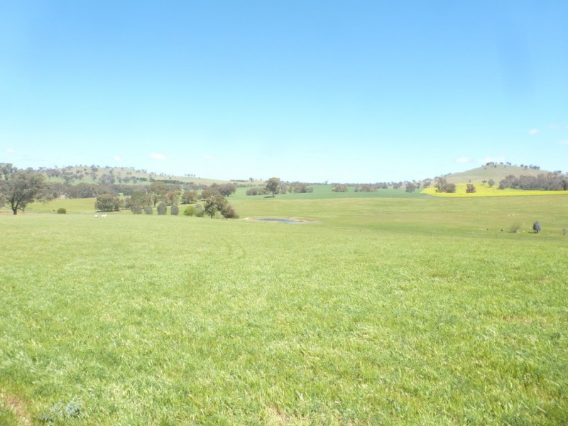 1361 Kenyu Road, Boorowa NSW 2586