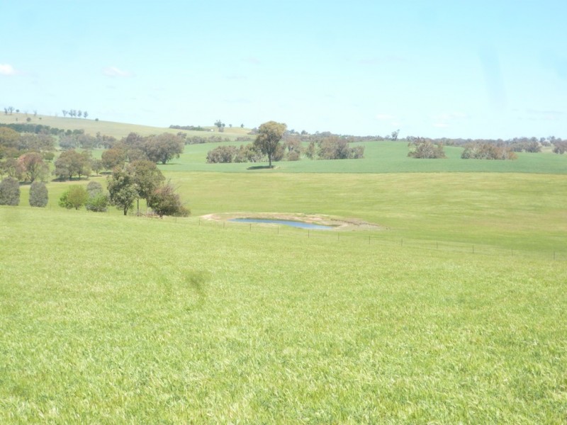 1361 Kenyu Road, Boorowa NSW 2586