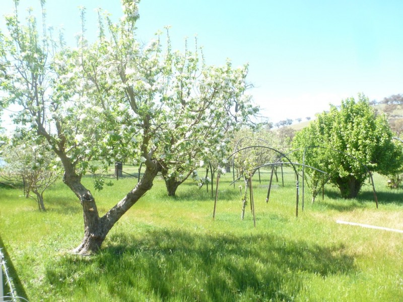 1361 Kenyu Road, Boorowa NSW 2586