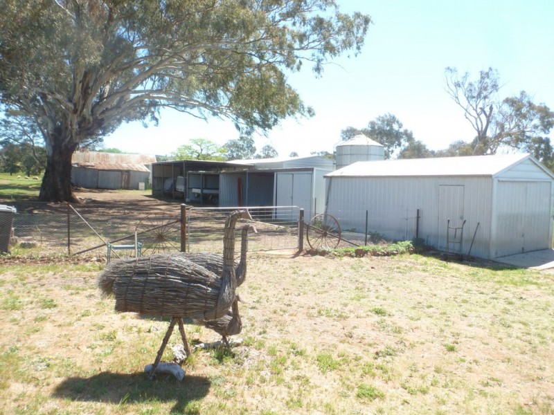 1361 Kenyu Road, Boorowa NSW 2586