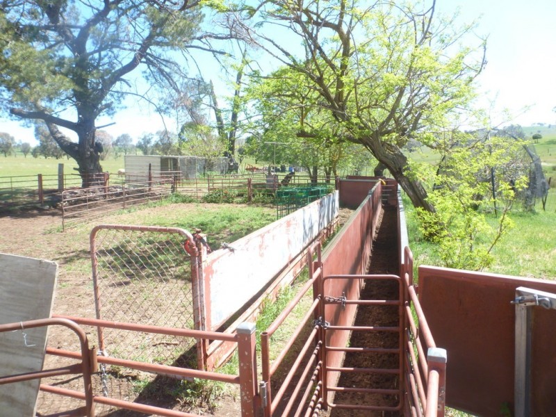 1361 Kenyu Road, Boorowa NSW 2586