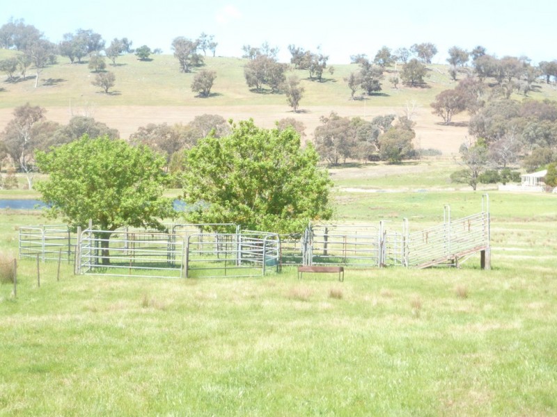 1361 Kenyu Road, Boorowa NSW 2586