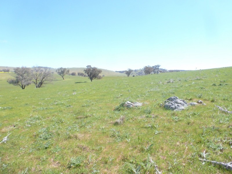 1361 Kenyu Road, Boorowa NSW 2586