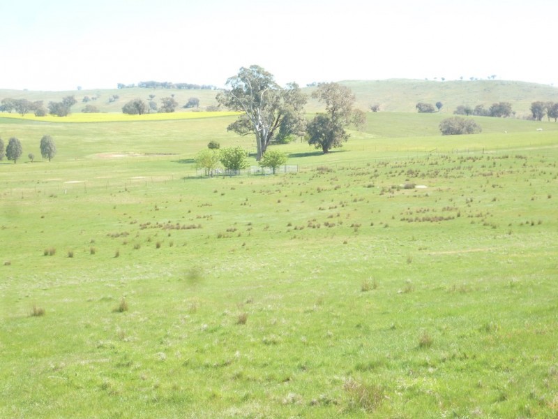 1361 Kenyu Road, Boorowa NSW 2586