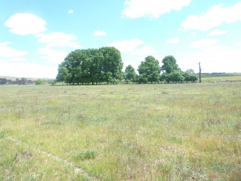 894 Little Plains Road, Boorowa NSW 2586