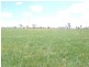894 Little Plains Road, Boorowa NSW 2586