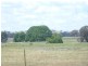 894 Little Plains Road, Boorowa NSW 2586