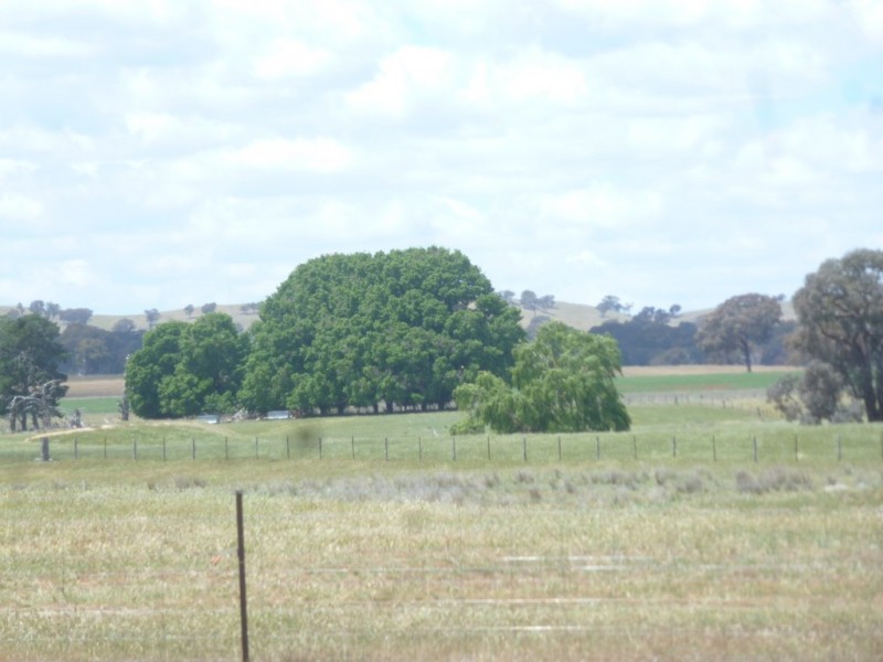 894 Little Plains Road, Boorowa NSW 2586
