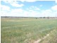 894 Little Plains Road, Boorowa NSW 2586
