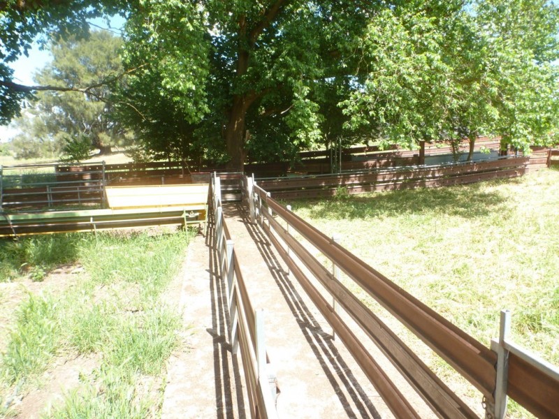 894 Little Plains Road, Boorowa NSW 2586