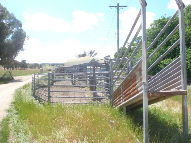 894 Little Plains Road, Boorowa NSW 2586