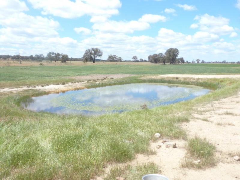 894 Little Plains Road, Boorowa NSW 2586