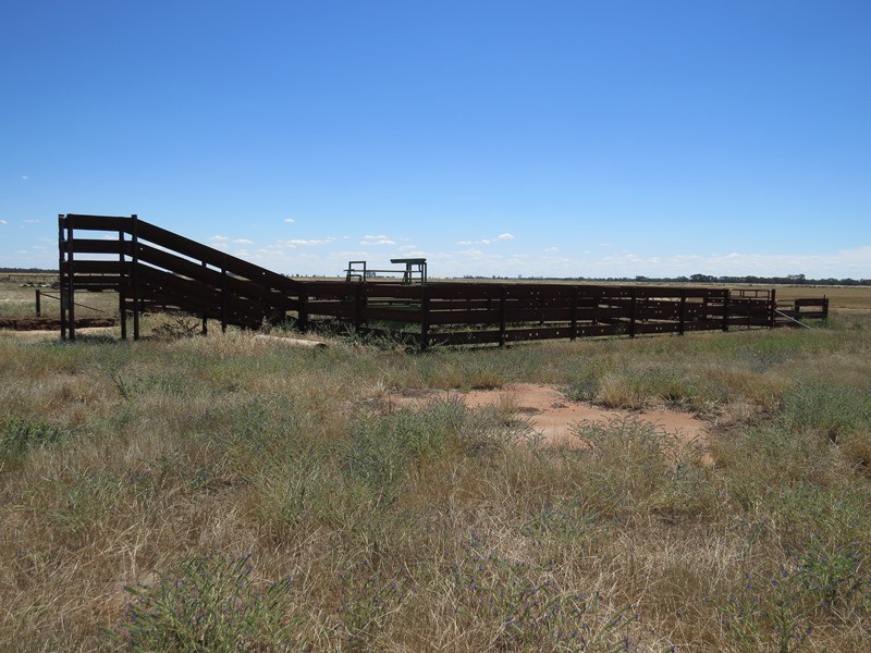 534 Willawa Lane, Jerilderie NSW 2716