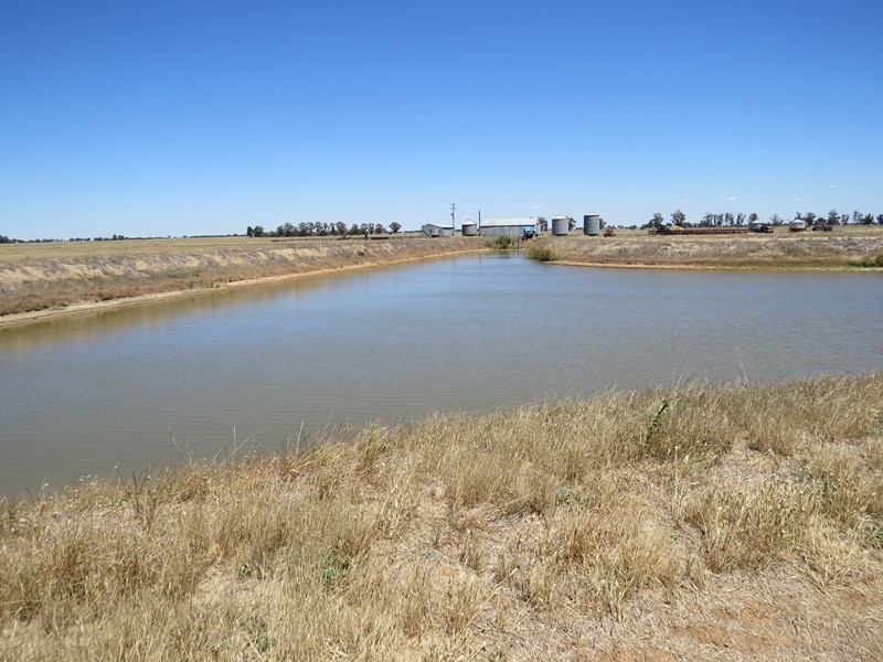 534 Willawa Lane, Jerilderie NSW 2716