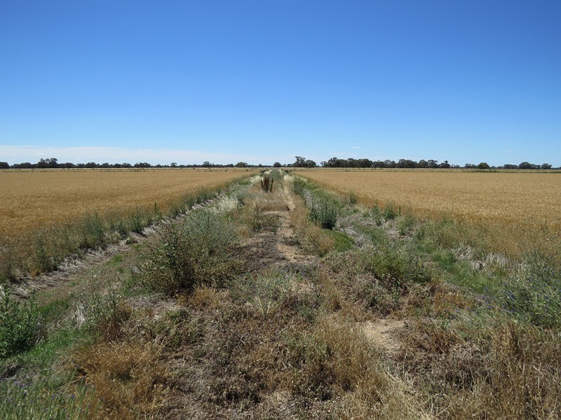 534 Willawa Lane, Jerilderie NSW 2716