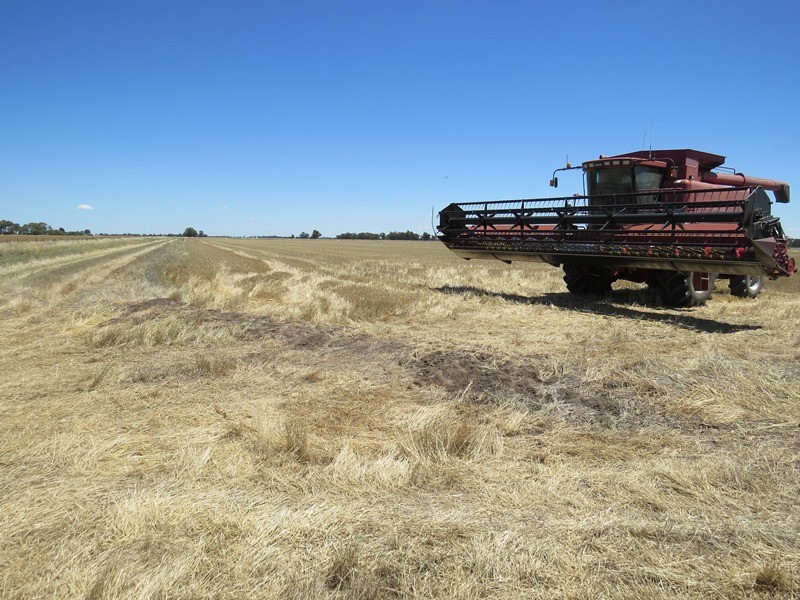 534 Willawa Lane, Jerilderie NSW 2716